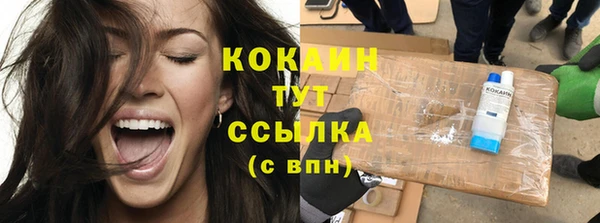 стаф Каменск-Шахтинский