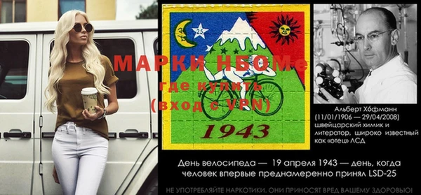 стаф Каменск-Шахтинский