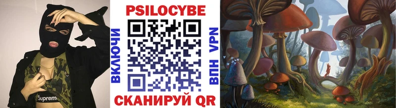 Галлюциногенные грибы Cubensis  Купить где  Моздок 